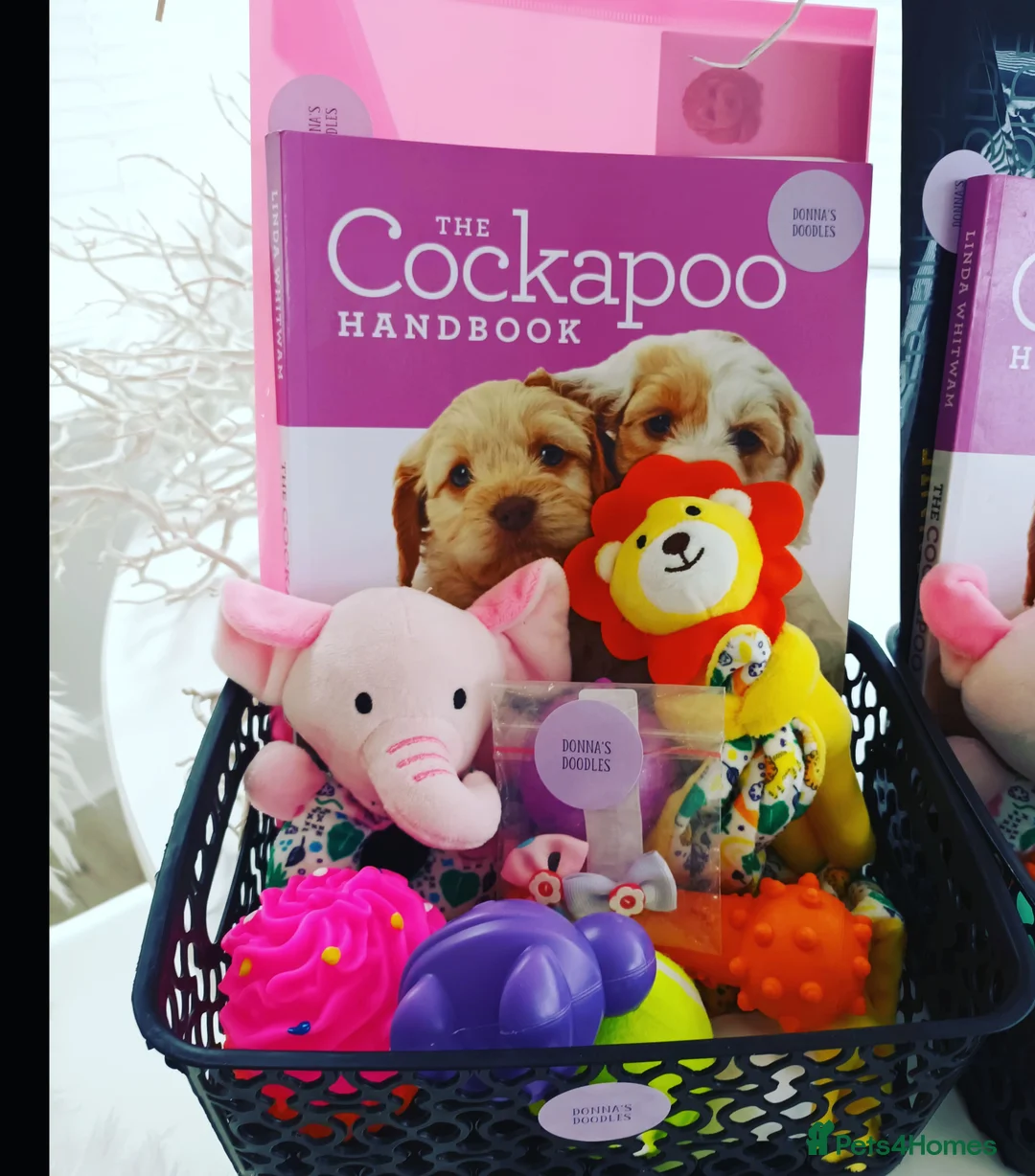 Gallery Image {{count}}