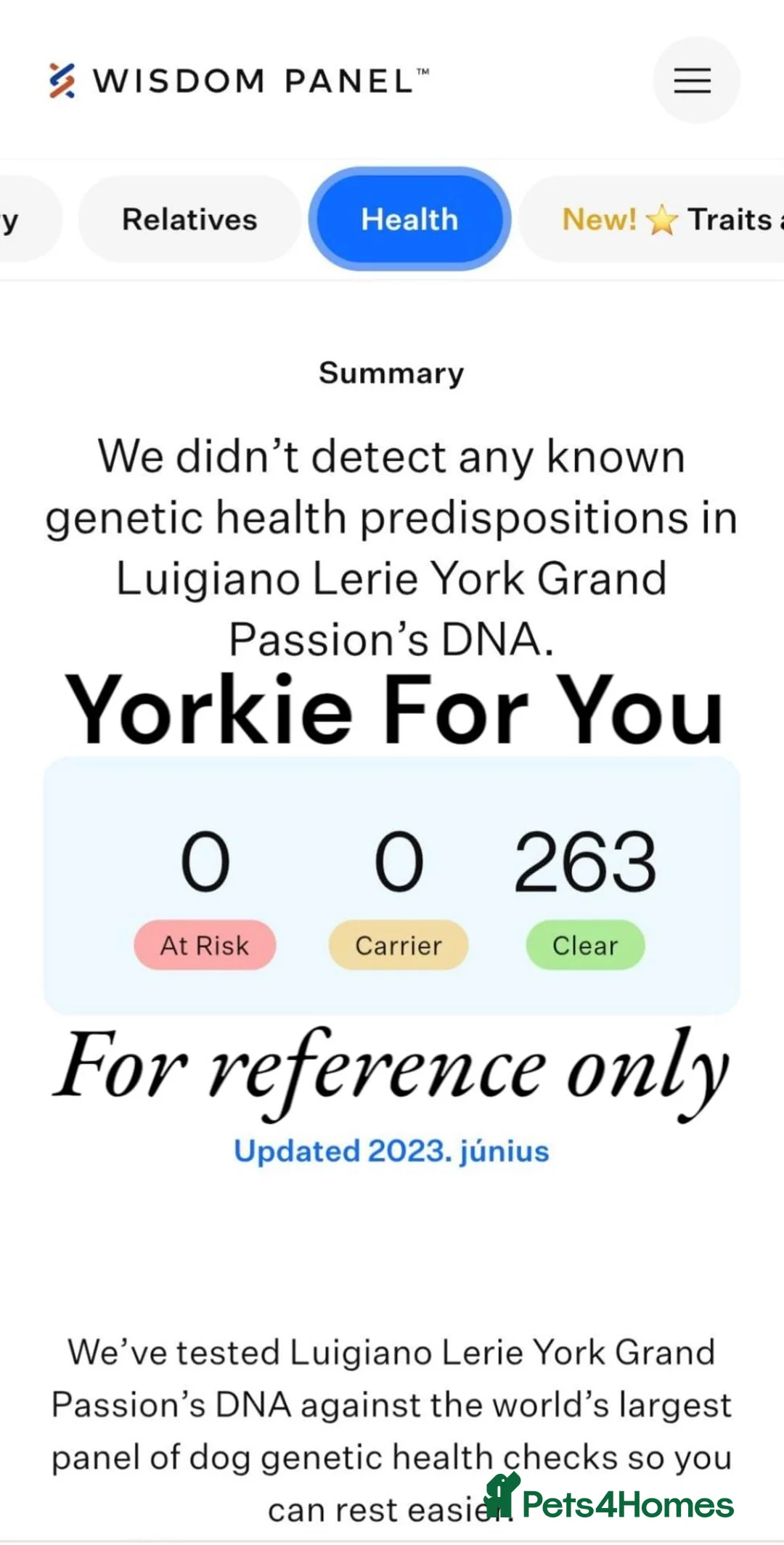 Yorkshire Terrier dogs for sale: 🧡 Dark Red Sable Yorkshire Terrier boy 🧡 - Advert 3