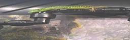 Skink reptiles for sale: Emerald tree skink cb26 - Advert 2