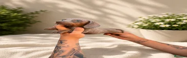 Dachshund 1