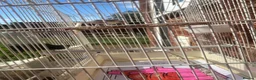 Canaries birds for sale: IP24 2jp hood way Thetford  in Thetford - Advert 2