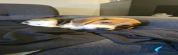 Beagle dogs for sale: Female beagle in Saltburn-by-the-Sea - Advert 5