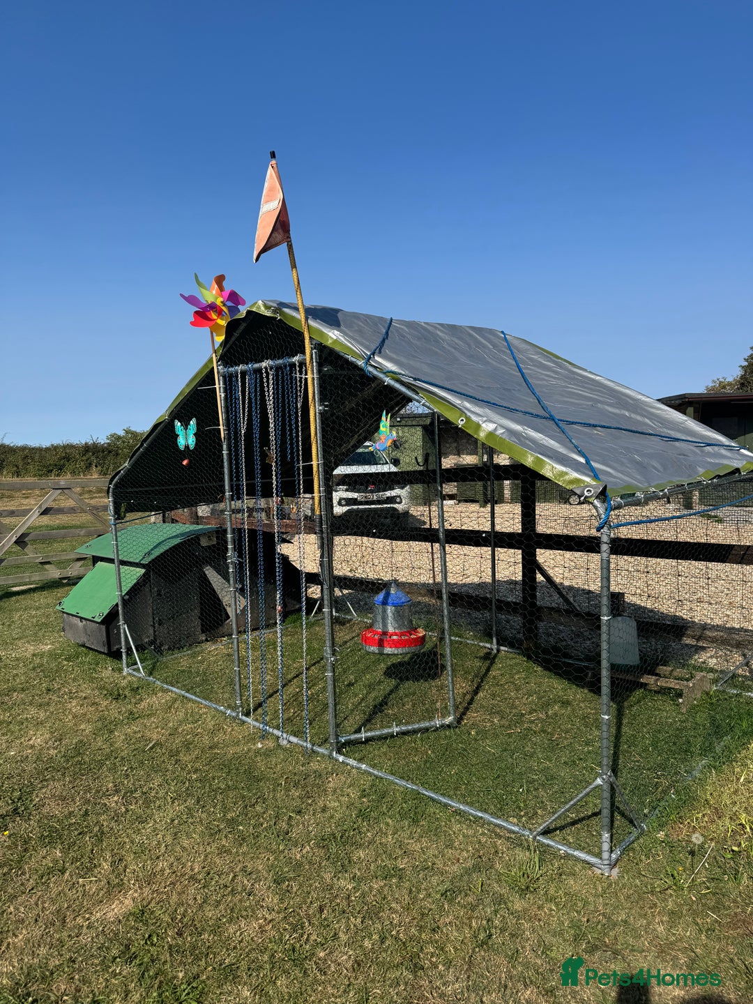 Chickens poultry for sale: Complete chicken 🐓 set up 😍 - Image 4