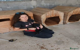Mixed Breed dogs for adoption: Madison, 2 yrs approx. Available for adoption.. - Image 2