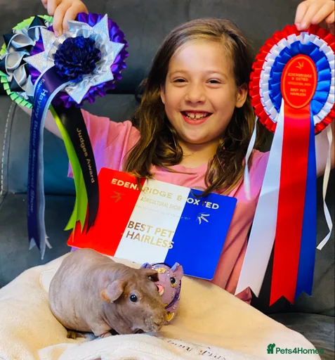 Gallery Image {{count}}