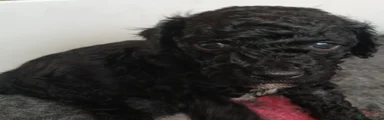  1 black boy