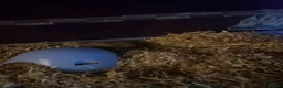 Gerbil rodents for sale: Two male gerbils  - Advert 3