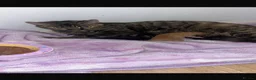 Mixed Breed cats for sale: Kittens looking for loving homes - Advert 1