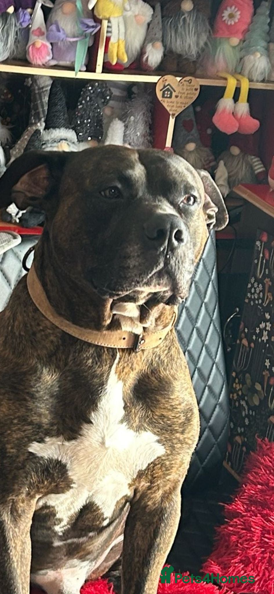 Reggie