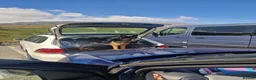 German Shepherd dogs for sale: German Shepherd  in Bilston - Advert 8