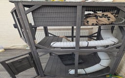 Ferret rodents for sale: Full ferret  set up  - Image 5