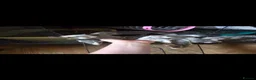Rat rodents for sale: Dumbo Husky Rats in Sheffield - Advert 15
