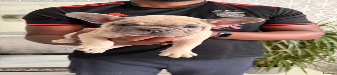 Channel