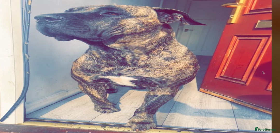 Gallery Image {{count}}