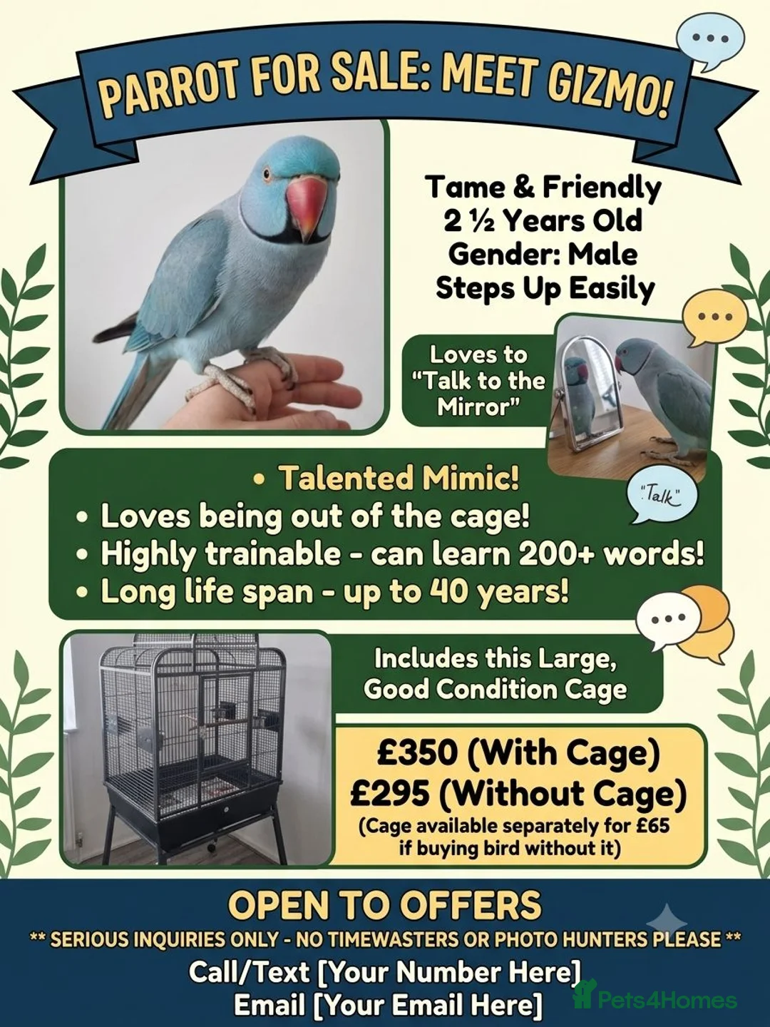Parrots birds for sale: Beautiful blue ringneck tame talking parrot  - Advert 2