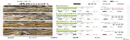 Snake reptiles for sale: Western Hognose  in Westgate-on-Sea - Advert 2