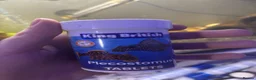 Tetras fish for sale: Fish and tank for sale  in Dover - Advert 8