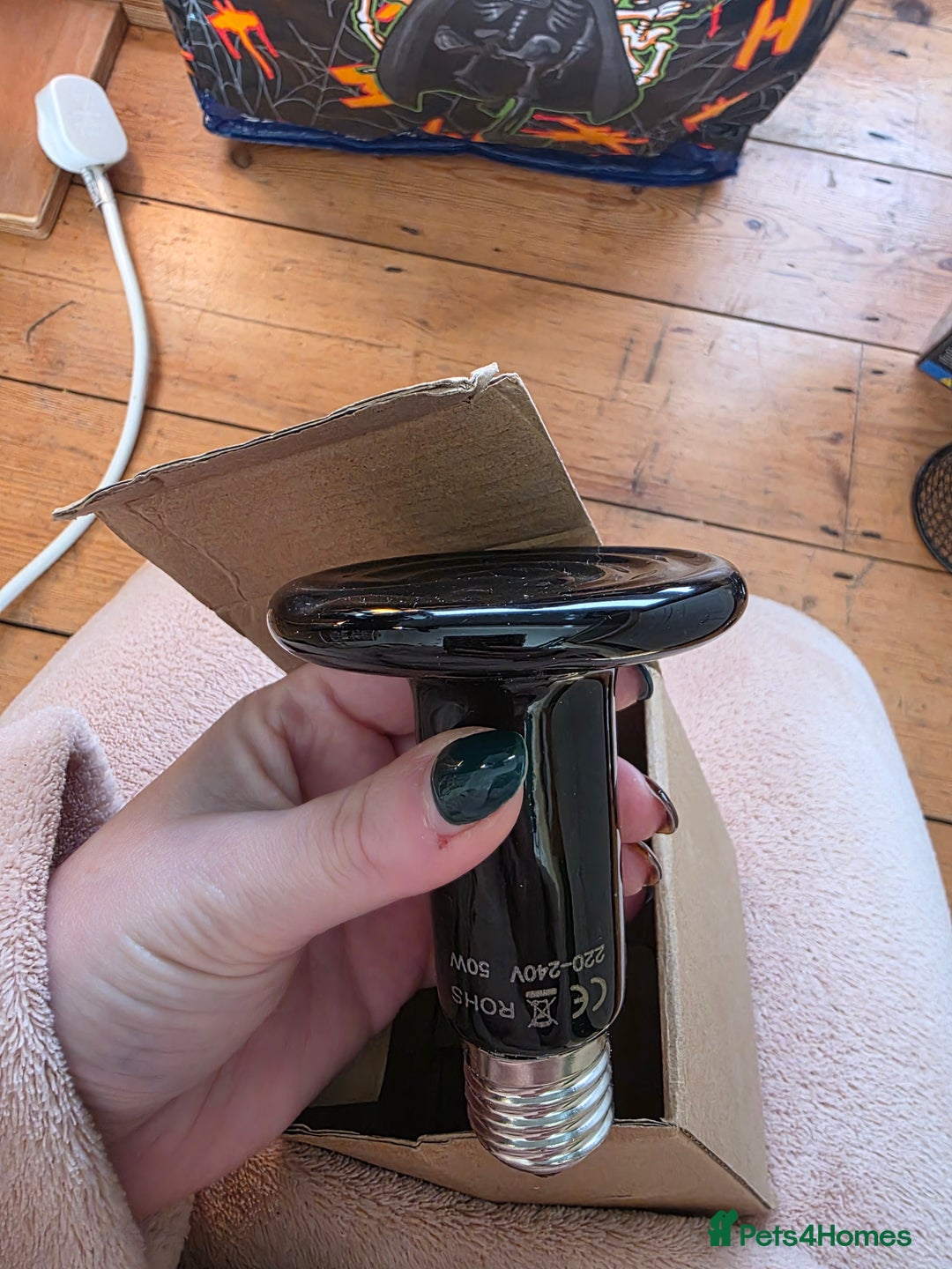 Snake reptiles for sale: Hognose snake  - Advert 6