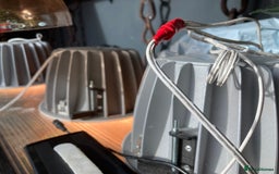 Frog reptiles for sale: Fire belly toads and dart frog - Image 11