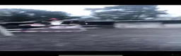 Other Breed horses for sale: Lady athena - Advert 19