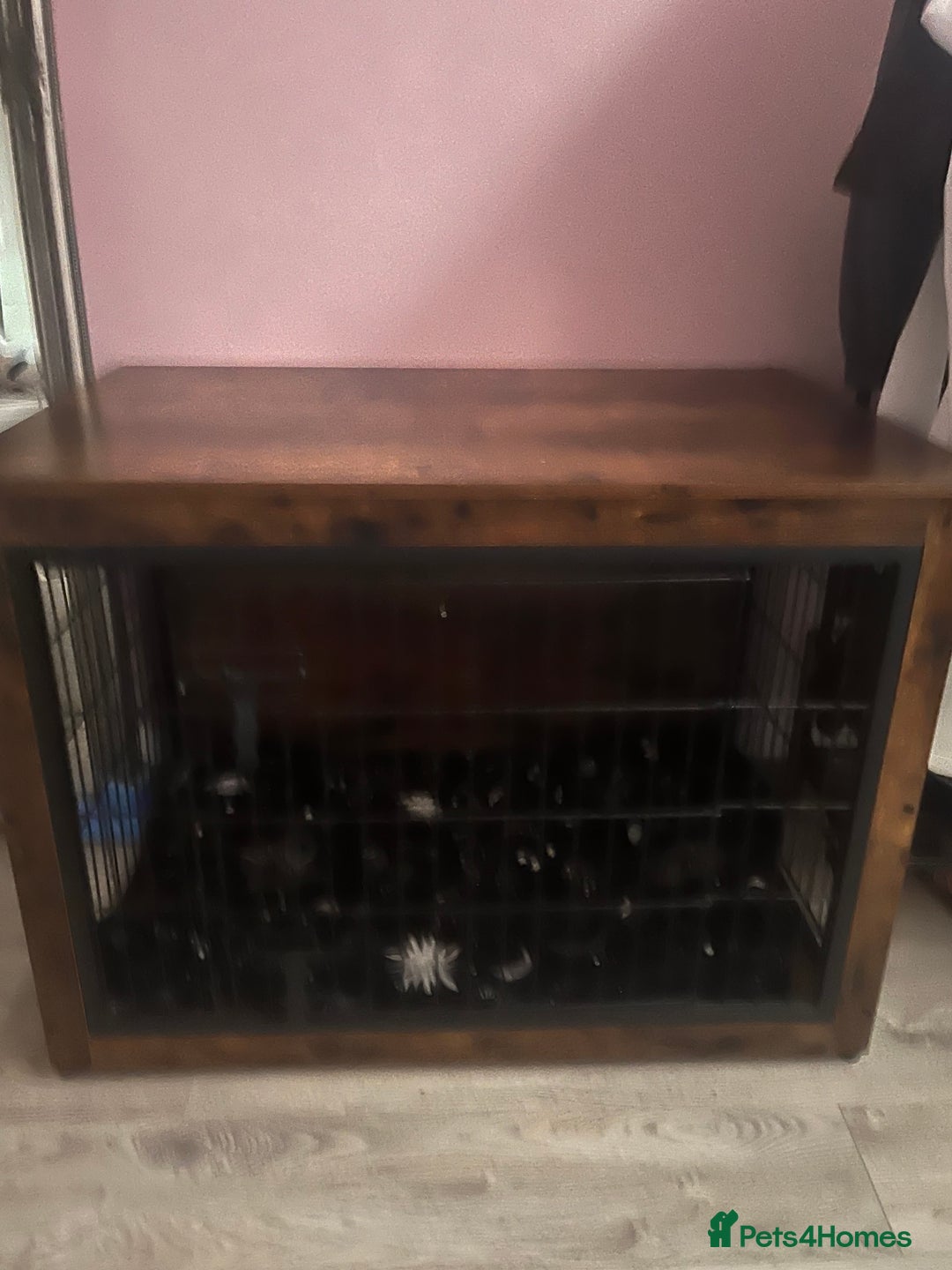 Mixed Breed dogs for sale: Dog cage with built in unit for sale - Image 4