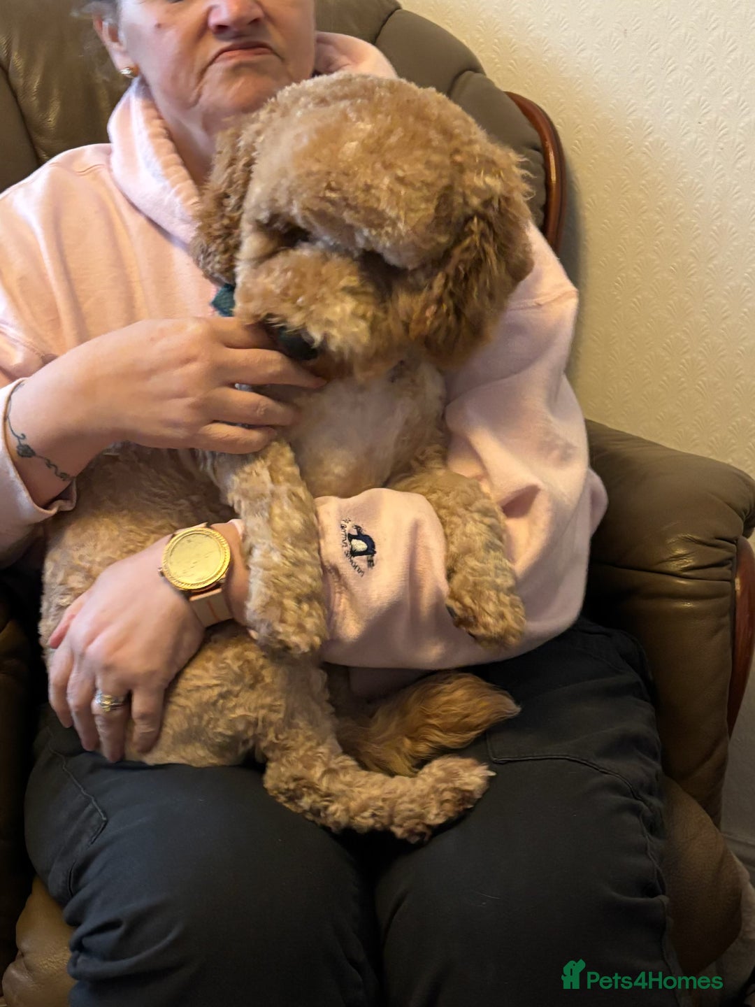 Gallery Image {{count}}