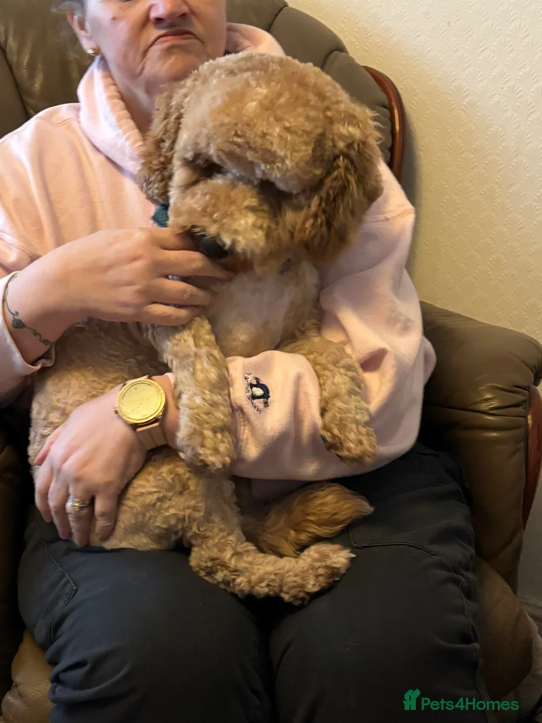 Gallery Image {{count}}