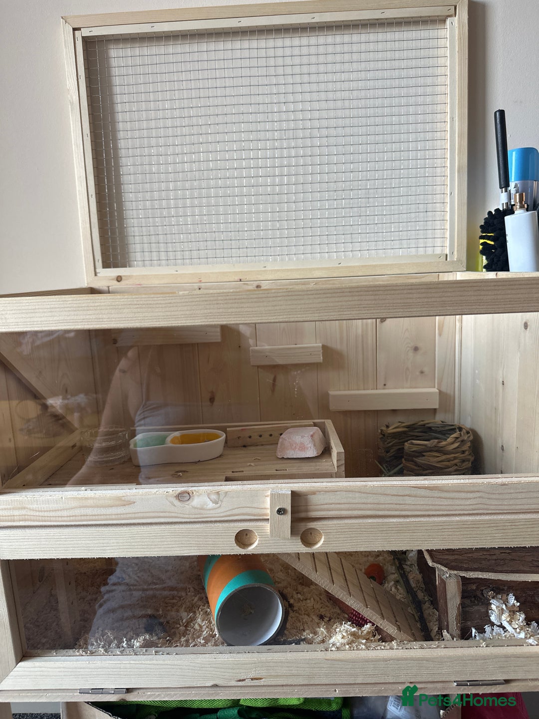 Hamster rodents for sale: Lovely hamster +set up - Image 6