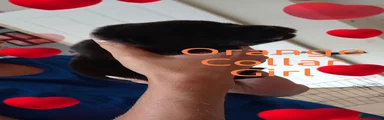 Orange collar