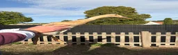 Ducks poultry for sale: End of Season Sale  - Advert 4