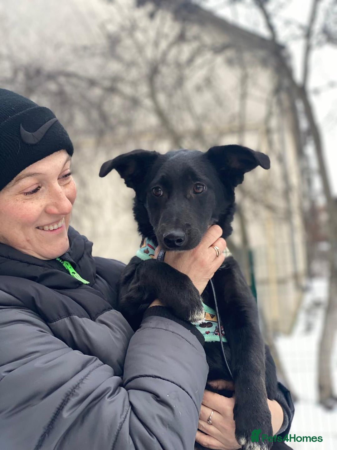 Mixed Breed dogs for adoption: 💖🐶 LADY AND DORY 🐶💖 - Advert 21