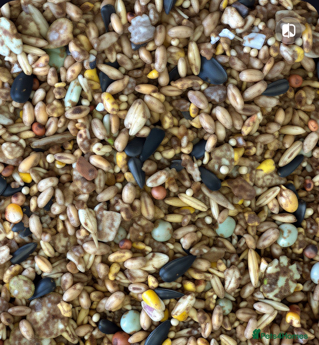 Mixed Breed poultry for sale: Pilling Poultry Boost Mix - High Energy feed - Advert 2