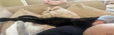 Winnie 