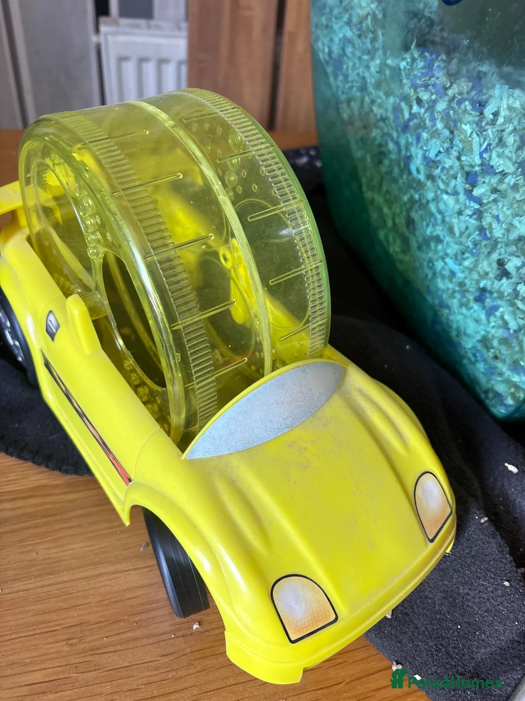 Gerbil rodents for sale: Two  gerbils in Sheffield - Advert 2