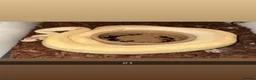 Python Snake reptiles for sale: Royal pythons  - Advert 20