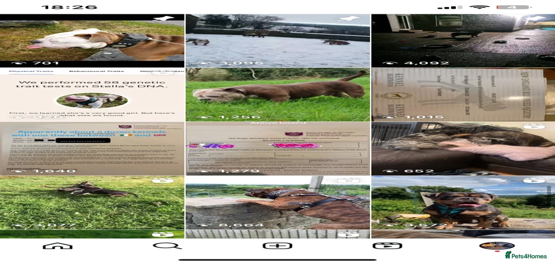 Gallery Image {{count}}