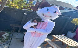 Staffordshire Bull Terrier dogs for sale: staffy puppies - Image 6