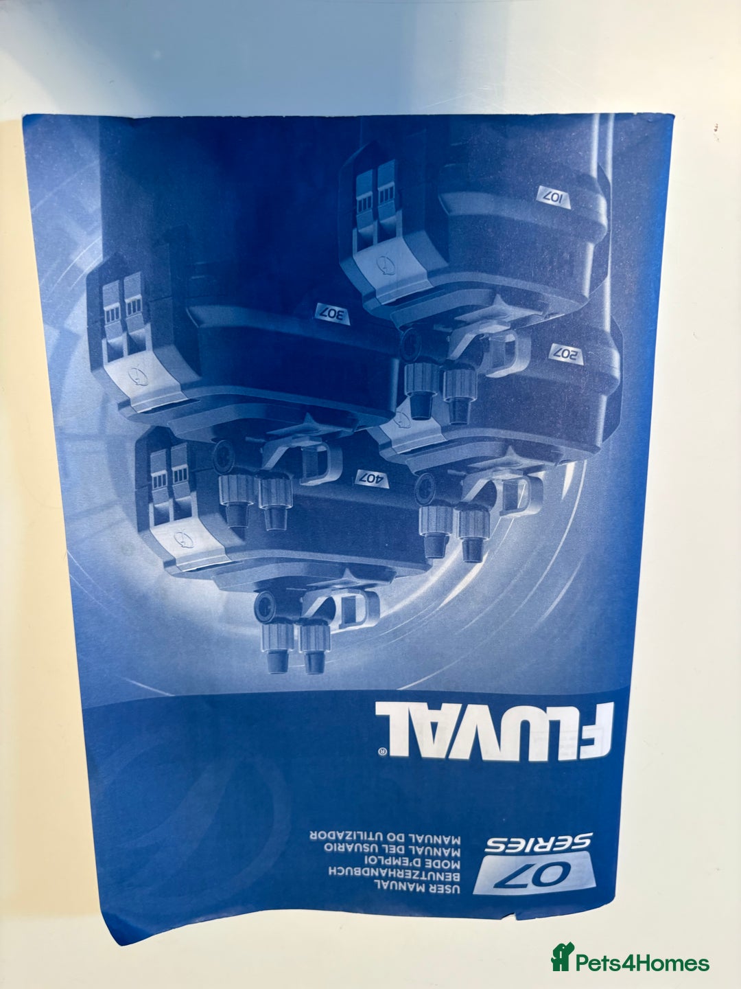 Fancy Goldfish fish for sale: Fancy Goldfish, with full set up  - Image 8