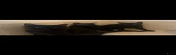 Domestic Shorthair cats for sale: Black Kittens For Sale  - Advert 7