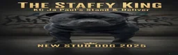 Staffordshire Bull Terrier dogs for stud: Phenomenal fertility- New Stud dog 2025 - Advert 1