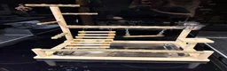 Lorikeets birds for sale: 2 bonded kakarikis - Advert 7