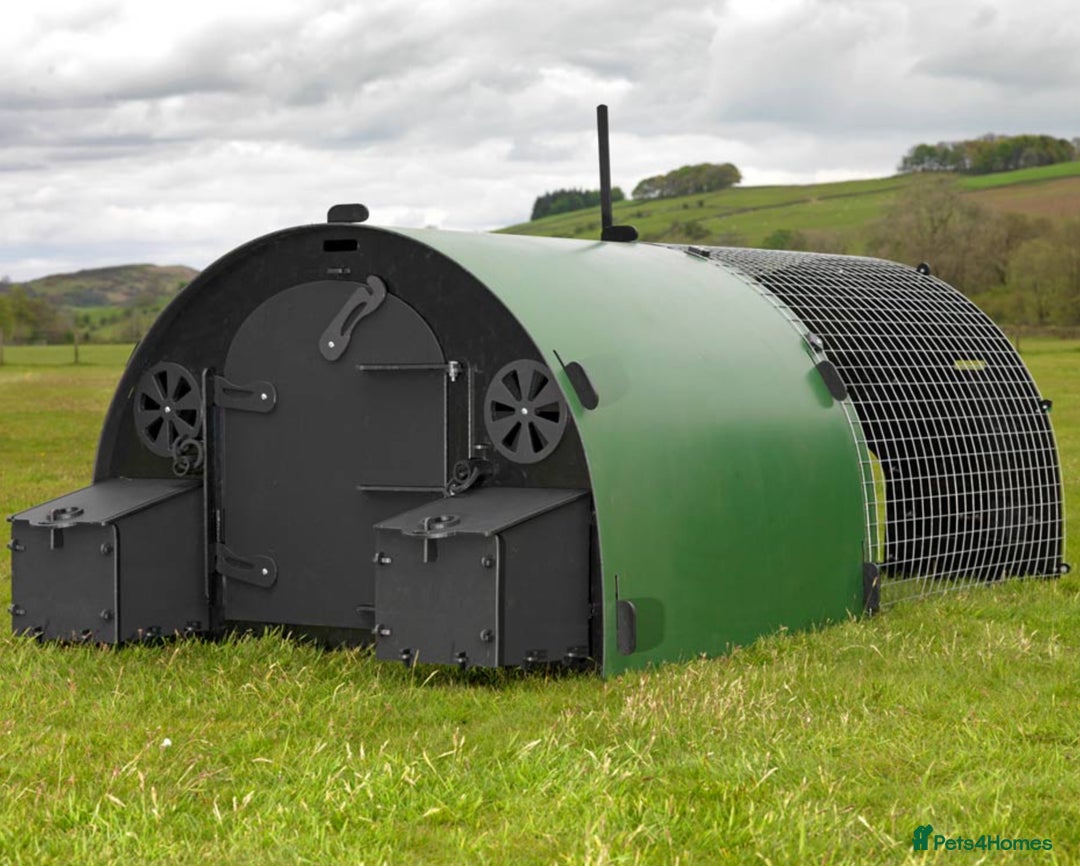 Chickens poultry for sale: Recycled Coops - NO maintenance - Image 1