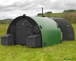 Chickens poultry - Advert 6