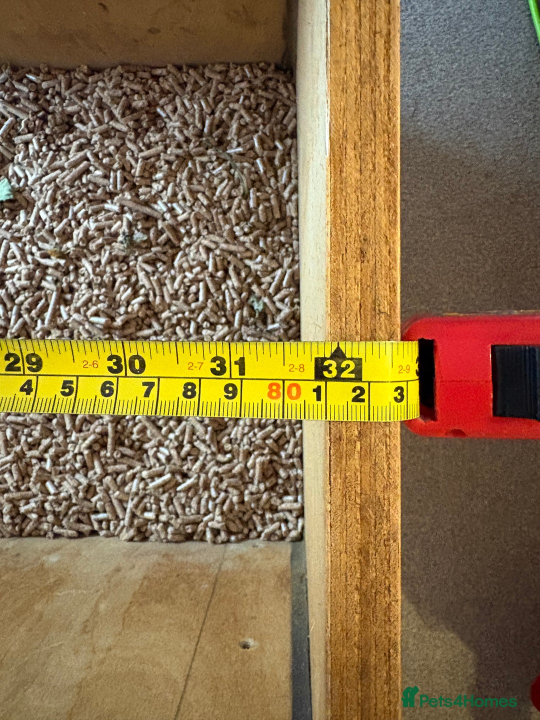 Hermann Tortoise reptiles for sale: 5 year old tortoise + full set up & accessories  - Advert 6