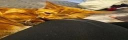 Mixed Breed cats for sale: 8 month old ginger male  - Advert 3