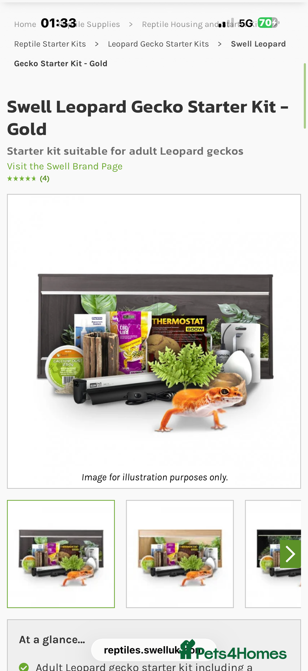 Leopard Gecko reptiles for sale: Full set up for sale including leopard Gecko  - Advert 2