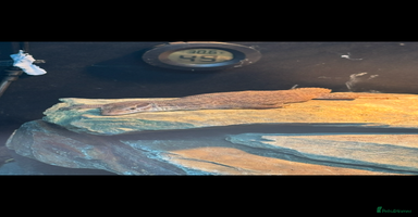 Monitor reptiles Red Ackie  - Advert 5