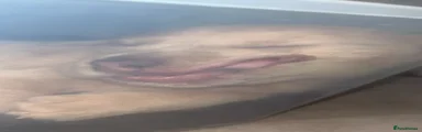 Dachshund 3