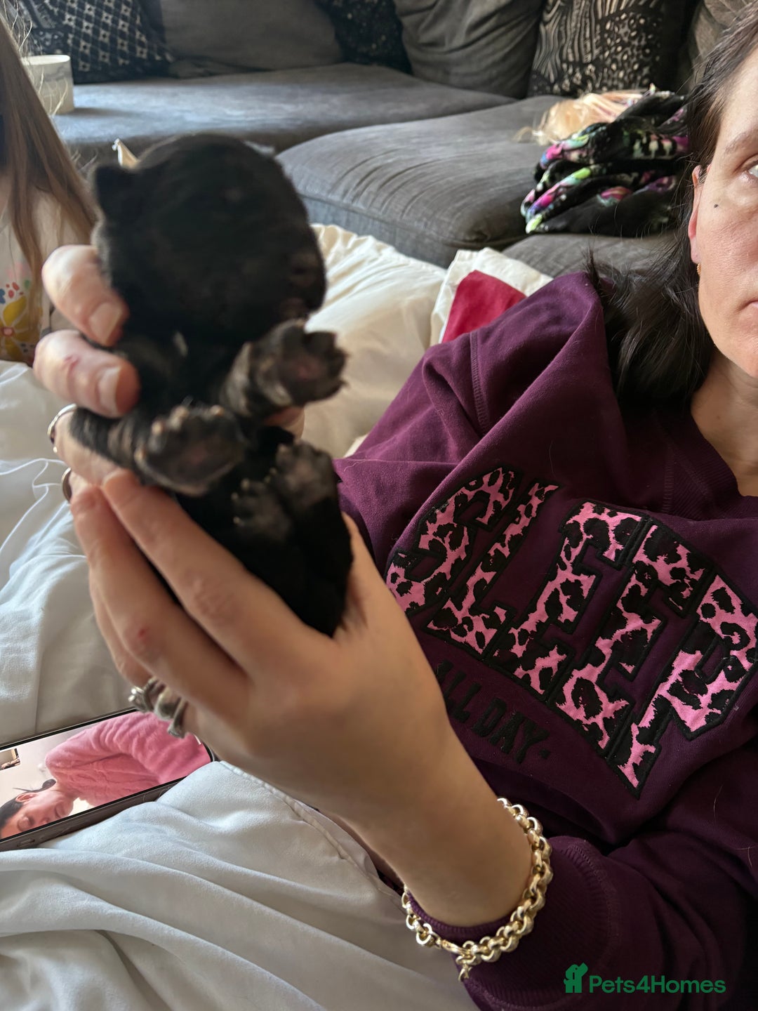 German Shepherd dogs for sale: 7 German shepherd puppies  - Advert 11