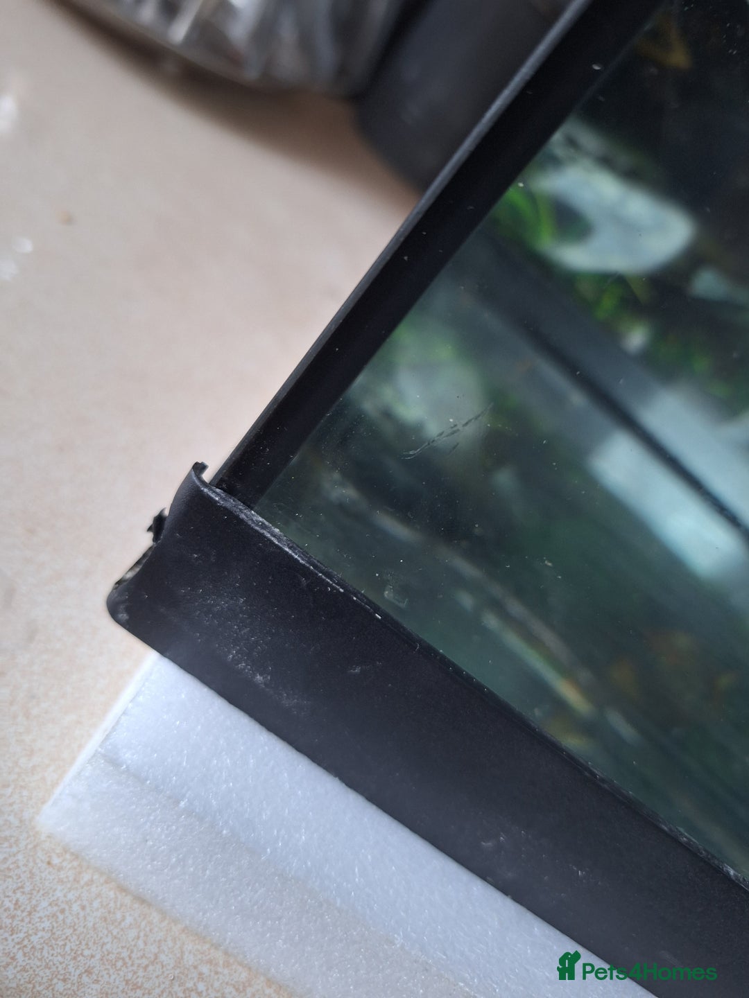 Other/Mixed Breed fish for sale: 60ltr Fishtank with Accessories Only - Image 11